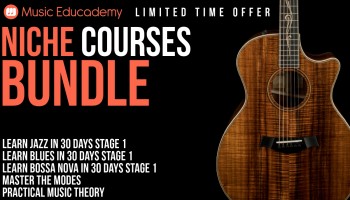 NICHE COURSES BUNDLE (LIMITED TIME ONLY)